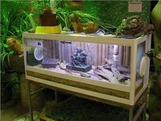 Лот: 169245. Фото: 1. Шикарный террариум для рептилий... Другое (животные и уход)