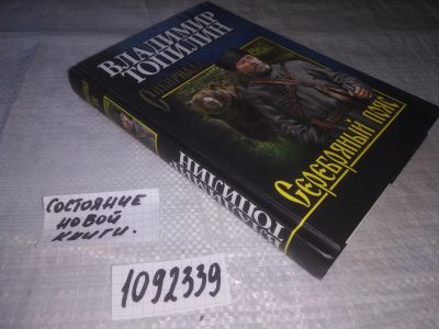 Лот: 21128893. Фото: 1. (1092339) Владимир Топилин "Серебряный... Художественная