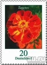 Лот: 9545060. Фото: 1. Deutschland, серия "цветы": 20... Марки