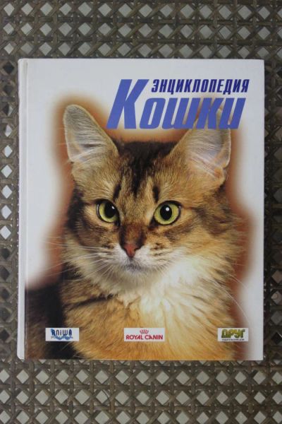 Лот: 5502423. Фото: 1. Энциклопедия Кошки. Домашние животные