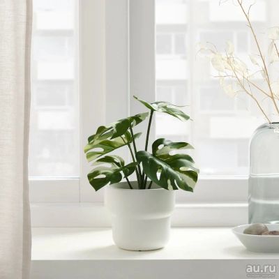 Лот: 8801897. Фото: 1. Растение искусственное, цветок... Горшечные растения и комнатные цветы