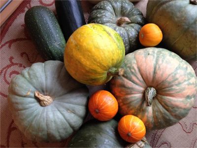 Лот: 8541496. Фото: 1. Тыква. Овощи, фрукты, зелень