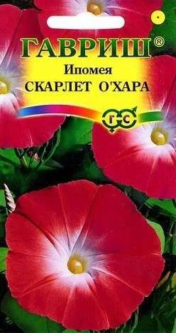Лот: 11024296. Фото: 1. Ипомея Скарлет О"Хара 10 шт Гавриш. Садовые цветы
