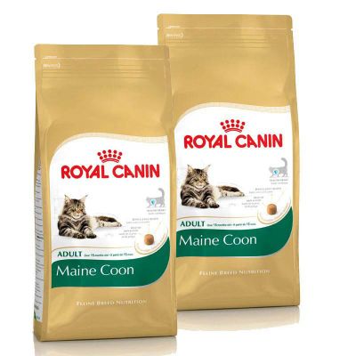 Лот: 6801918. Фото: 1. Royal Canin Main Coon 4 кг. (Роял... Корма