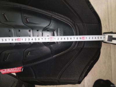Лот: 18487437. Фото: 1. Защита спины alpinestars bionic... Аксессуары