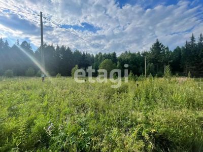 Лот: 25290285. Фото: 1. участок , деревня Сухая Ручейная... Земельные участки