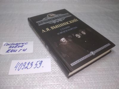 Лот: 25439701. Фото: 1. вб/oz(4092359)Вышинский А.Я. Сталин... Мемуары, биографии