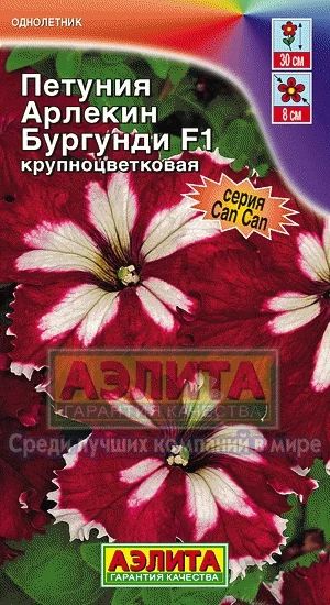 Лот: 3987505. Фото: 1. Петуния крупноцветковая Арлекин... Другое (семена, рассада, садовые растения)