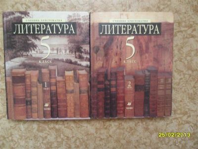 Лот: 2548552. Фото: 1. М.Б.Ладыгина Учебник-хрестоматия... Для школы