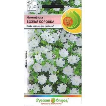 Лот: 11025608. Фото: 1. Немофила Божья коровка 0,3гр/НК. Садовые цветы