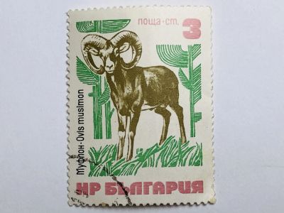 Лот: 23316563. Фото: 1. Животные. Муфлон. 3 ст. Фауна... Марки