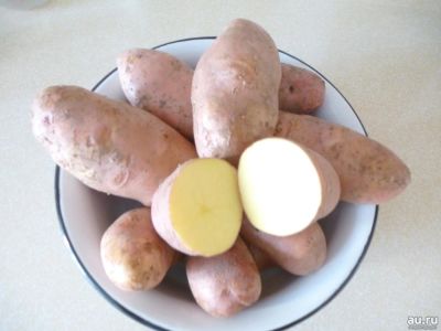 Лот: 13412549. Фото: 1. картофель сорт Ред Скарлет урожай... Картофель