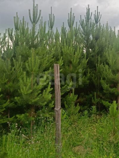 Лот: 25606754. Фото: 1. участок , СНТ Рублёвка Смоленская... Земельные участки