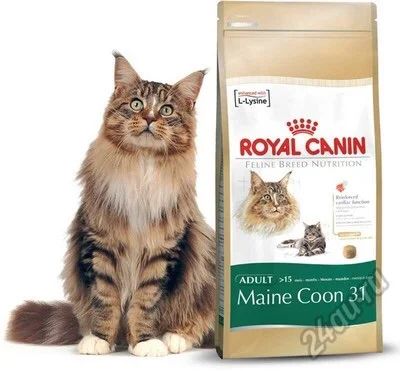 Лот: 6350253. Фото: 1. Royal Canin Maine Coon 4 кг корм... Корма