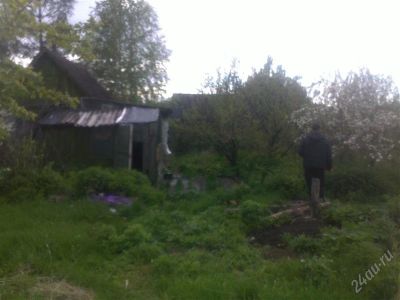Лот: 2869381. Фото: 1. Сдам дачу в ПБерезовка. Дома, дачи, коттеджи