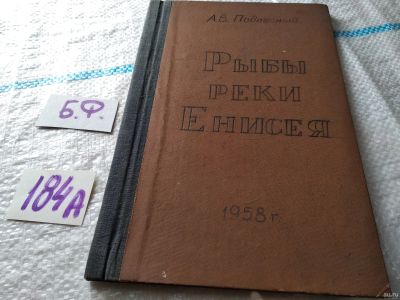 Лот: 18241640. Фото: 1. oz Подлесный А.В. Рыбы реки Енисея... Биологические науки