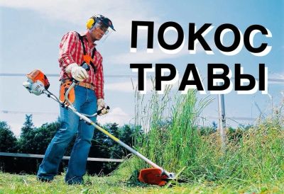 Лот: 15971419. Фото: 1. СКОС травы ПОКОС травы. Пряные, лекарственные растения и зелень