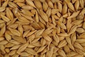 Лот: 4716944. Фото: 1. Ячмень. Крупы, сыпучие продукты