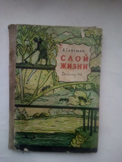 Лот: 24591356. Фото: 1. Гавеман, Александр Васильевич... Книги