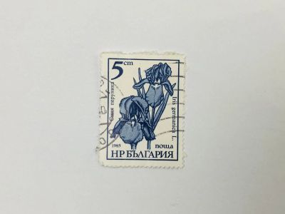 Лот: 23314160. Фото: 1. Садовые цветы. Ирис германский... Марки