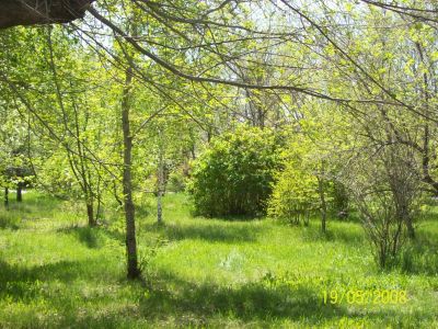 Лот: 7926807. Фото: 1. куплю дачу за мат капитал. Дачи