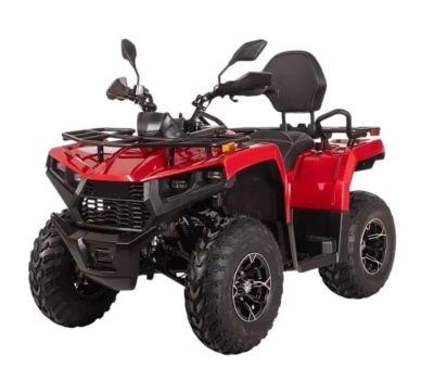 Лот: 25788119. Фото: 1. Квадроцикл Bizon YK250 Basic Carb. Снегоходы, квадроциклы