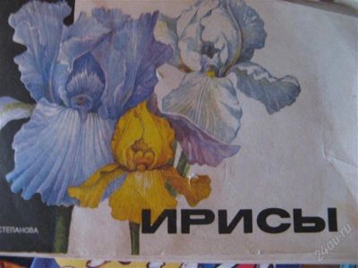 Лот: 2897842. Фото: 1. Степанова И.Ф. Ирисы. Сад, огород, цветы