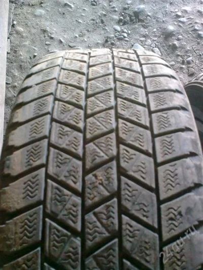 Лот: 1422732. Фото: 1. Продам всесезонку Dunlop 205/50... Шины