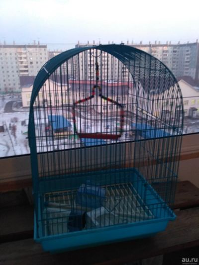 Лот: 13550538. Фото: 1. Клетка для попугая. Домики, переноски, клетки, когтеточки