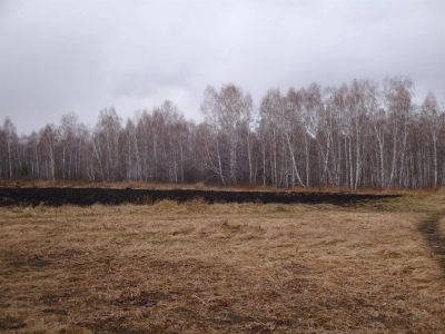 Лот: 3344766. Фото: 1. Земельный участок. Земельные участки