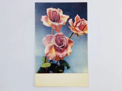 Лот: 23296754. Фото: 1. Цветы: Розы. Открытка. 1968. Открытки, конверты