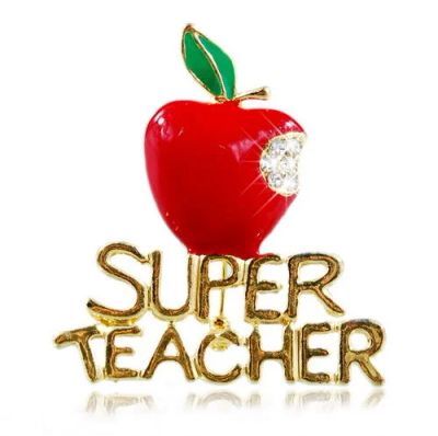 Лот: 4821439. Фото: 1. Брошь подвеска super teacher. Броши