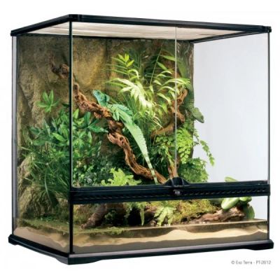 Лот: 4505281. Фото: 1. Террариум EXO TERRA 60 x 45 x... Домики, переноски, клетки, когтеточки