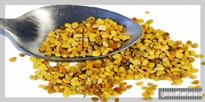 Лот: 3018189. Фото: 1. Пыльца пчелиная натуральная. Мёд, продукты пчеловодства