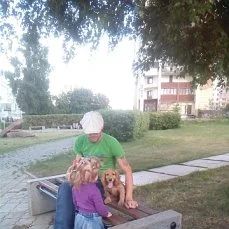 Лот: 7843911. Фото: 1. Кокер_Спаниель. Собаки, щенки