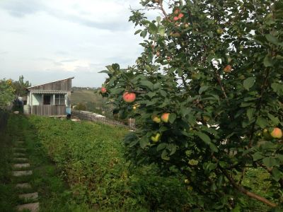 Лот: 4062913. Фото: 1. Дача.Кузнецовское плато. Дачи
