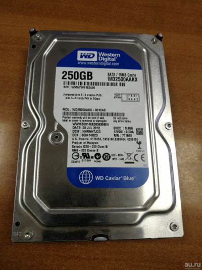 Лот: 13217908. Фото: 1. Жесткий диск 250 Gb WD (WD2500AAKX... Жёсткие диски