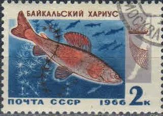 Лот: 18229265. Фото: 1. 1966, сентябрь. Промысловые рыбы... Марки