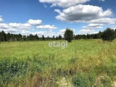 Лот: 20612854. Фото: 1. Продам участок 10 сот. Новосибирское... Земельные участки