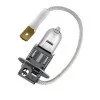 Лот: 14635015. Фото: 1. H3 12-100 10 шт (Pk22s Super White... Запчасти