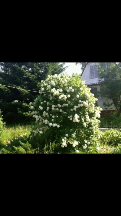 Лот: 11497852. Фото: 1. Дача 41 м? на участке 5.8 сот... Дачи