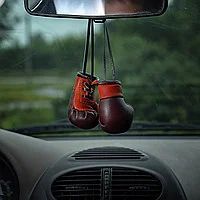 Лот: 7354210. Фото: 1. Ароматизатор для автомобиля "Боксерские... Ароматизаторы