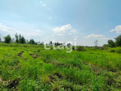Лот: 25293072. Фото: 1. участок , деревня Кузнецово деревня... Земельные участки