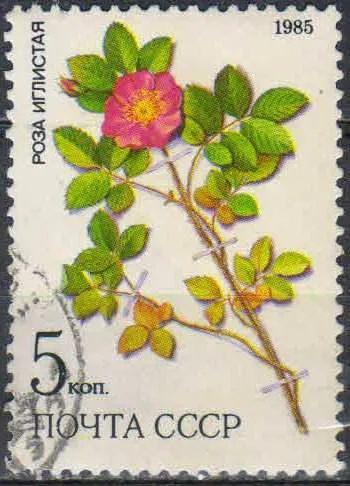 Лот: 25116412. Фото: 1. 1985, июль. Лекарственные растения... Марки
