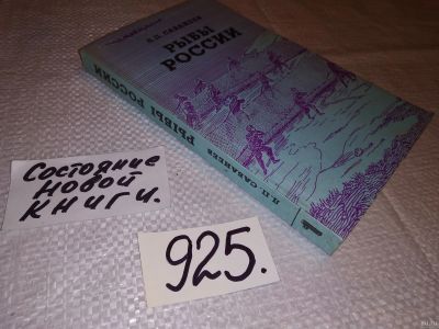 Лот: 13560957. Фото: 1. ок (01..04) Рыбы России (к-кт... Биологические науки