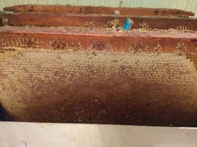 Лот: 14282375. Фото: 1. Сотовый мёд !!. Мёд, продукты пчеловодства