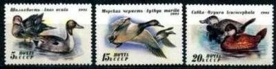 Лот: 1388036. Фото: 1. 1991 (6268) фауна утки полная. Марки