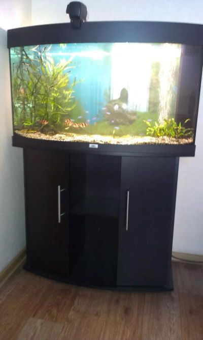 Лот: 4187166. Фото: 1. Аквариум JUWEL® Aquarium Vision... Аквариумы, террариумы