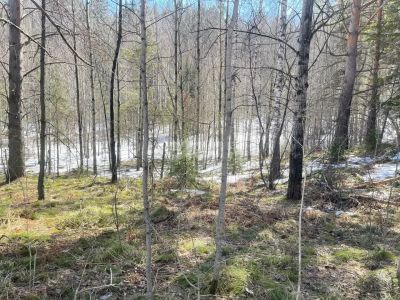 Лот: 24930478. Фото: 1. Продам участок 17.7 сот. Качинское... Земельные участки