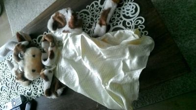 Лот: 3478120. Фото: 1. Новогодний костюм "Коровка". Детские карнавальные, праздничные костюмы
